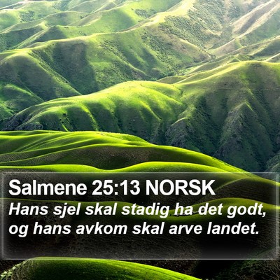 Salmene 25:13 NORSK Bible Verse Image