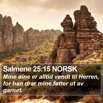 Salmene 25:15 NORSK Bible Verse Image
