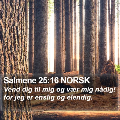 Salmene 25:16 NORSK Bible Verse Image