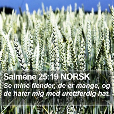 Salmene 25:19 NORSK Bible Verse Image