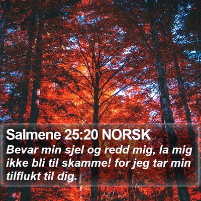 Salmene 25:20 NORSK Bible Verse Image