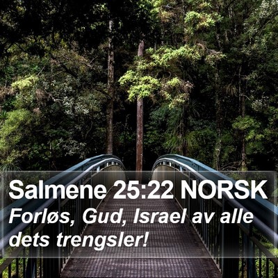 Salmene 25:22 NORSK Bible Verse Image