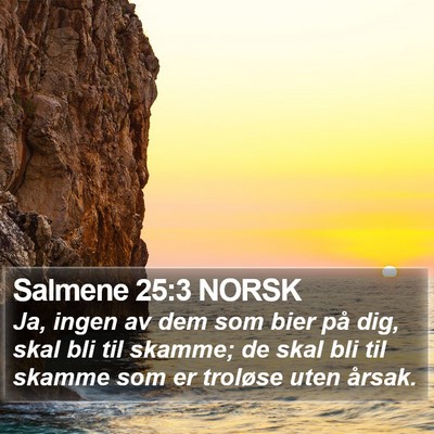 Salmene 25:3 NORSK Bible Verse Image