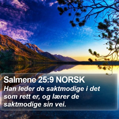 Salmene 25:9 NORSK Bible Verse Image
