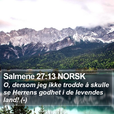 Salmene 27:13 NORSK Bible Verse Image