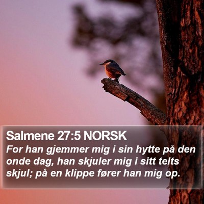 Salmene 27:5 NORSK Bible Verse Image