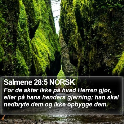 Salmene 28:5 NORSK Bible Verse Image