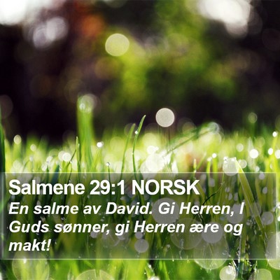 Salmene 29:1 NORSK Bible Verse Image