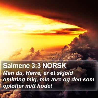 Salmene 3:3 NORSK Bible Verse Image
