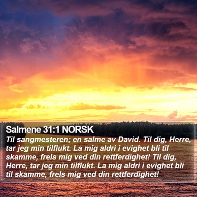 Salmene 31:1 NORSK Bible Verse Image