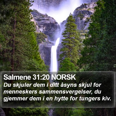 Salmene 31:20 NORSK Bible Verse Image