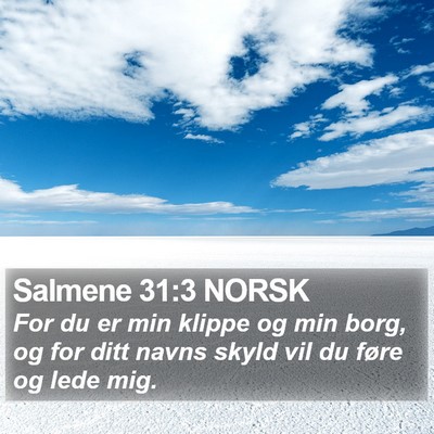 Salmene 31:3 NORSK Bible Verse Image