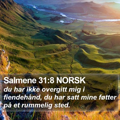 Salmene 31:8 NORSK Bible Verse Image