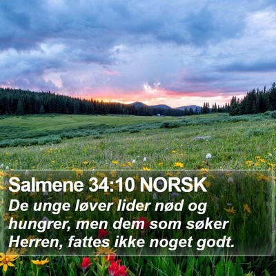Salmene 34:10 NORSK Bible Verse Image