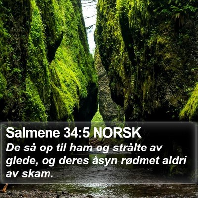 Salmene 34:5 NORSK Bible Verse Image