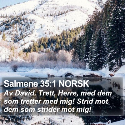 Salmene 35:1 NORSK Bible Verse Image
