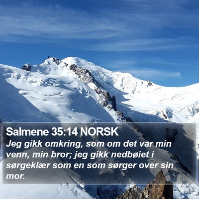 Salmene 35:14 NORSK Bible Verse Image