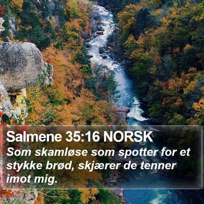 Salmene 35:16 NORSK Bible Verse Image