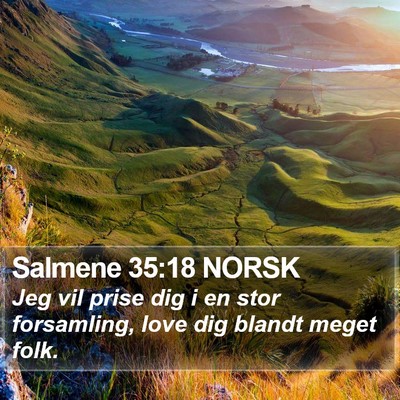 Salmene 35:18 NORSK Bible Verse Image