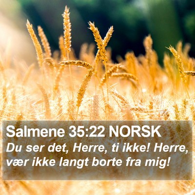Salmene 35:22 NORSK Bible Verse Image