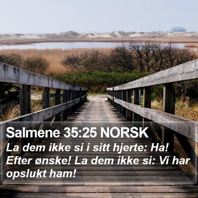 Salmene 35:25 NORSK Bible Verse Image