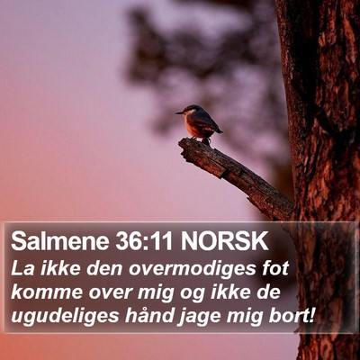 Salmene 36:11 NORSK Bible Verse Image
