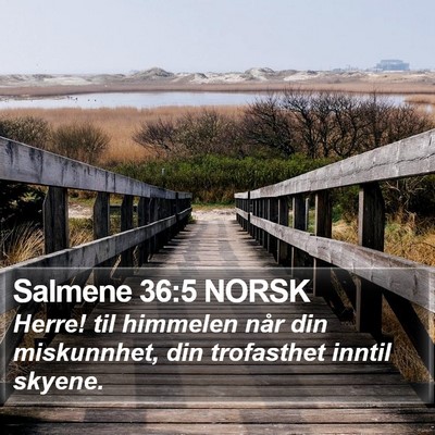Salmene 36:5 NORSK Bible Verse Image