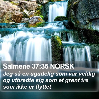 Salmene 37:35 NORSK Bible Verse Image
