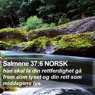 Salmene 37:6 NORSK Bible Verse Image