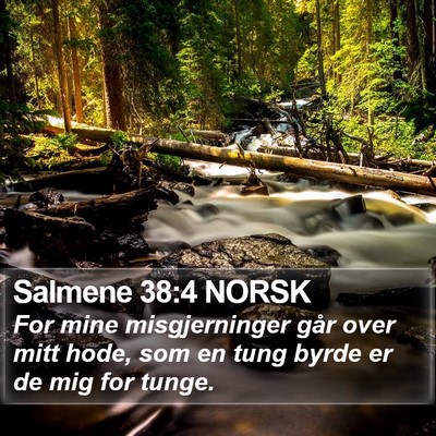 Salmene 38:4 NORSK Bible Verse Image