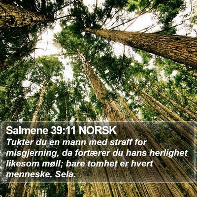 Salmene 39:11 NORSK Bible Verse Image