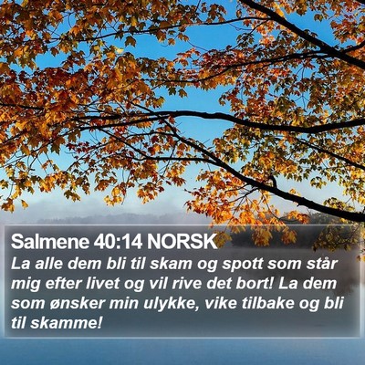 Salmene 40:14 NORSK Bible Verse Image