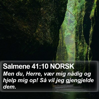 Salmene 41:10 NORSK Bible Verse Image
