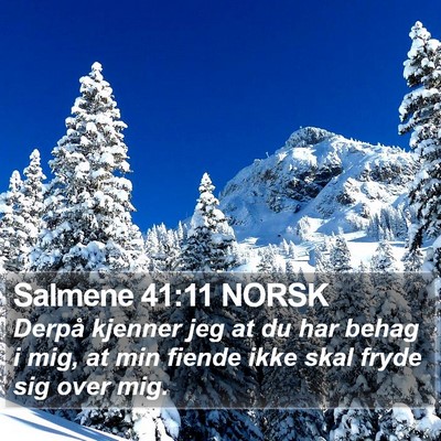 Salmene 41:11 NORSK Bible Verse Image