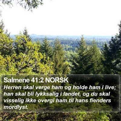 Salmene 41:2 NORSK Bible Verse Image