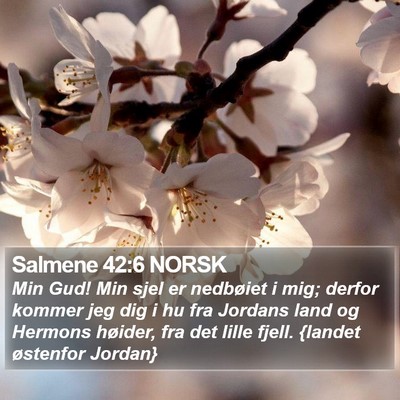 Salmene 42:6 NORSK Bible Verse Image