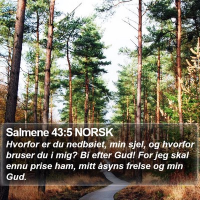 Salmene 43:5 NORSK Bible Verse Image