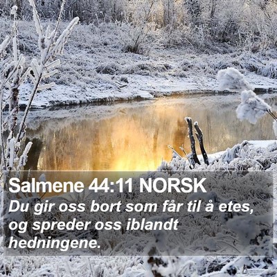 Salmene 44:11 NORSK Bible Verse Image