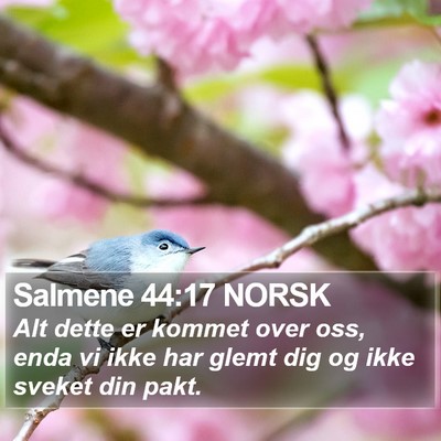 Salmene 44:17 NORSK Bible Verse Image