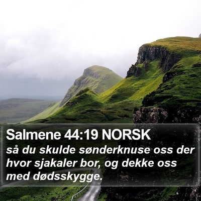 Salmene 44:19 NORSK Bible Verse Image