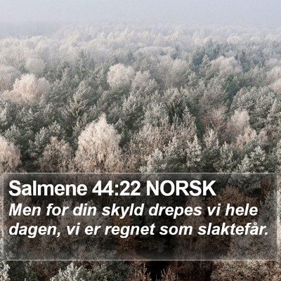 Salmene 44:22 NORSK Bible Verse Image