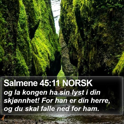 Salmene 45:11 NORSK Bible Verse Image