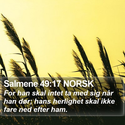 Salmene 49:17 NORSK Bible Verse Image