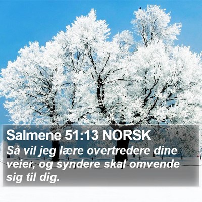 Salmene 51:13 NORSK Bible Verse Image
