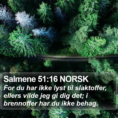 Salmene 51:16 NORSK Bible Verse Image
