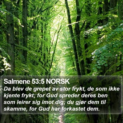 Salmene 53:5 NORSK Bible Verse Image