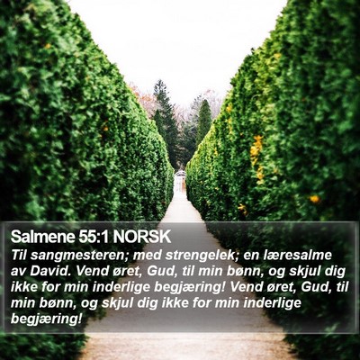 Salmene 55:1 NORSK Bible Verse Image