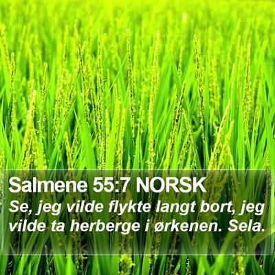 Salmene 55:7 NORSK Bible Verse Image