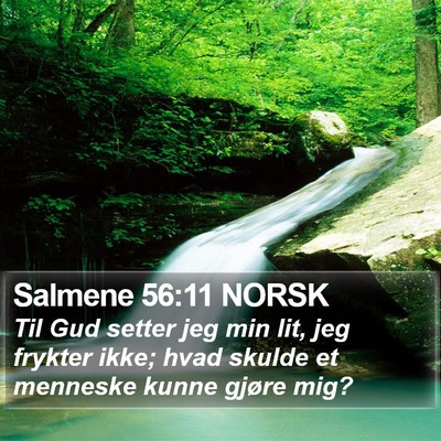 Salmene 56:11 NORSK Bible Verse Image