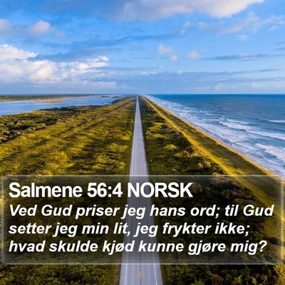 Salmene 56:4 NORSK Bible Verse Image
